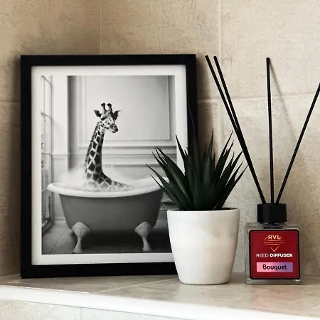 Chill Vibes Between Forest & Sea *